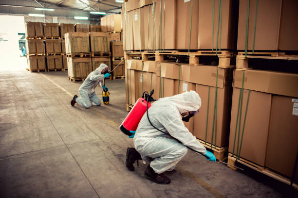 Best Wildlife Control Services  in Port Oconnor, TX