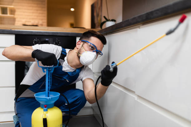 Best Pest Removal Services  in Port Oconnor, TX