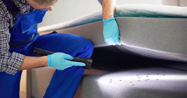 Best Pest Prevention Services  in Port Oconnor, TX