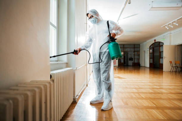 Best Local Pest Control Services  in Port Oconnor, TX