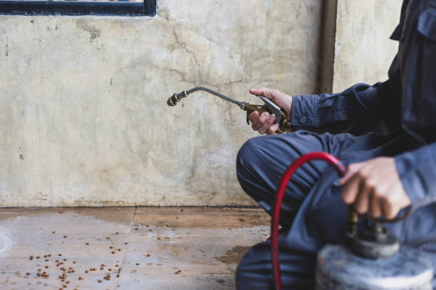 Best Residential Pest Control  in Port Oconnor, TX